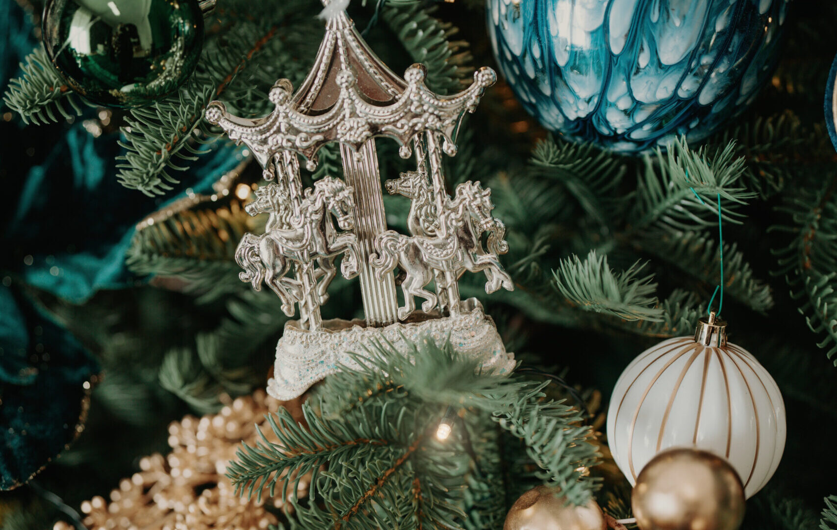 S4 02971 scaled Gift Card Foto di Natale