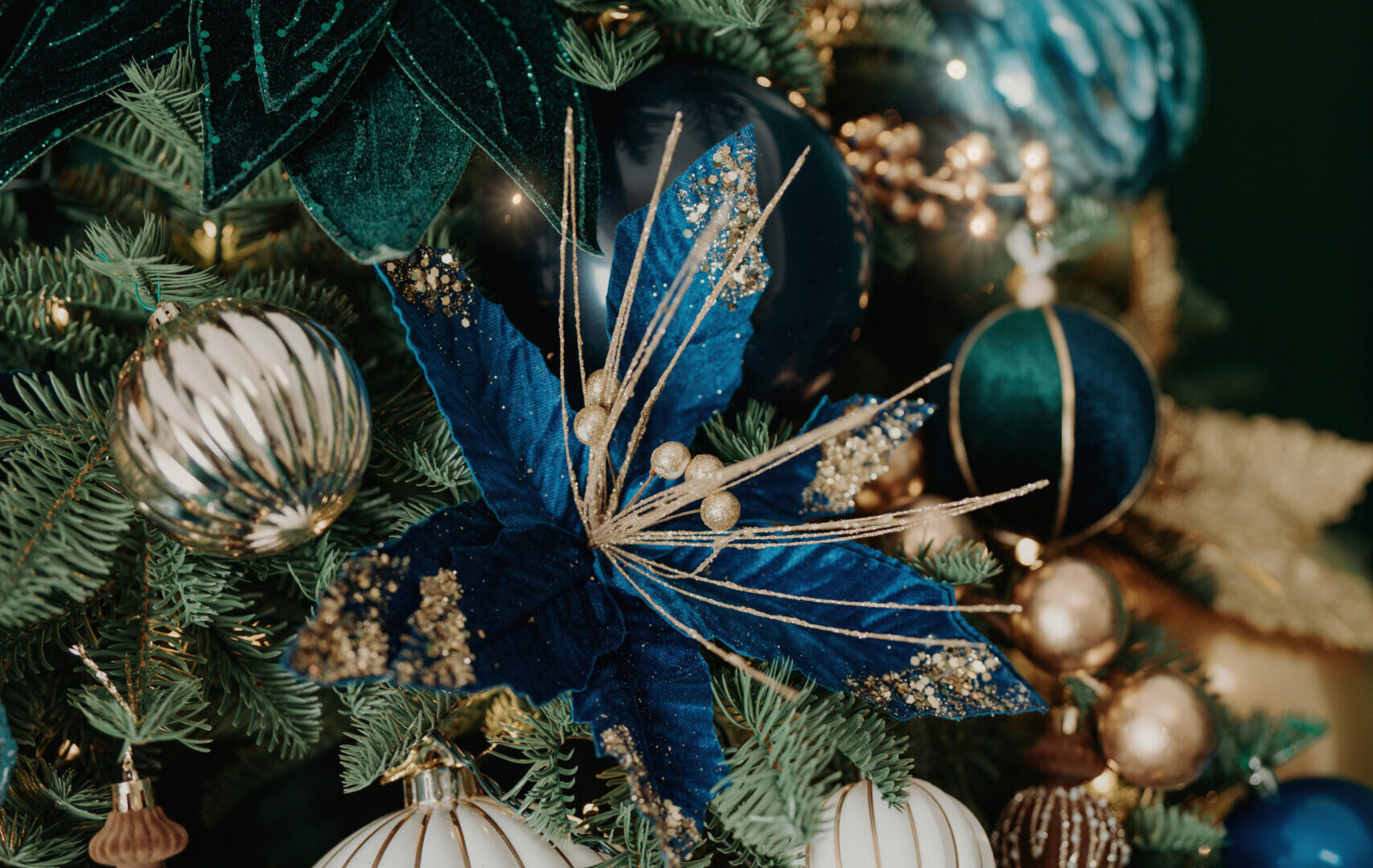 S4 02972 scaled Gift Card Foto di Natale